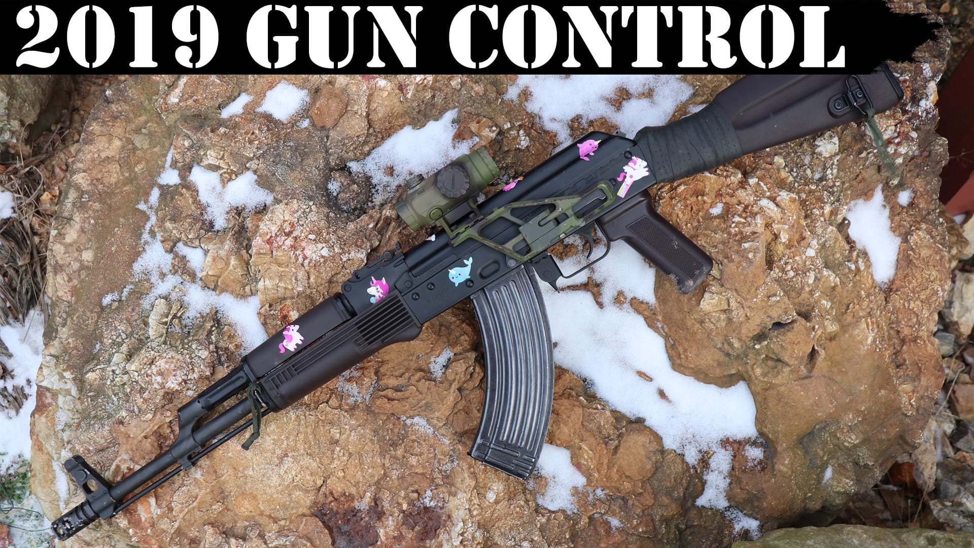 2019 Gun Control