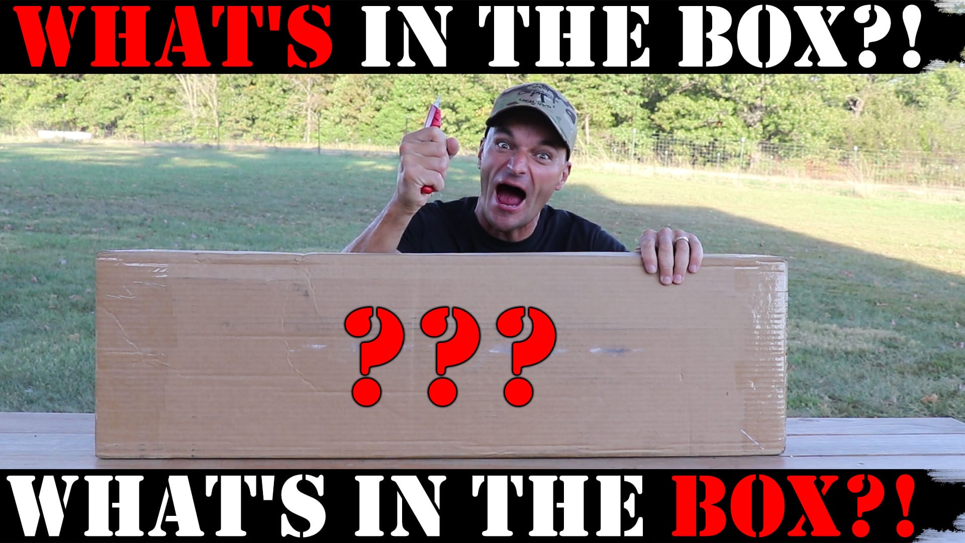 What’s in the Box?!